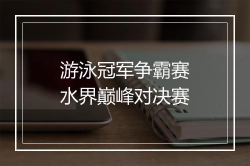 游泳冠军争霸赛　水界巅峰对决赛